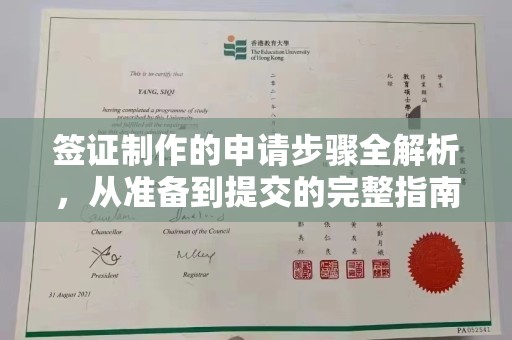 坡头签证制作的申请步骤全解析，从准备到提交的完整指南