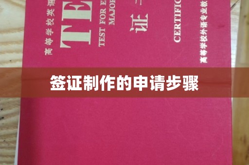 坡头签证制作的申请步骤
