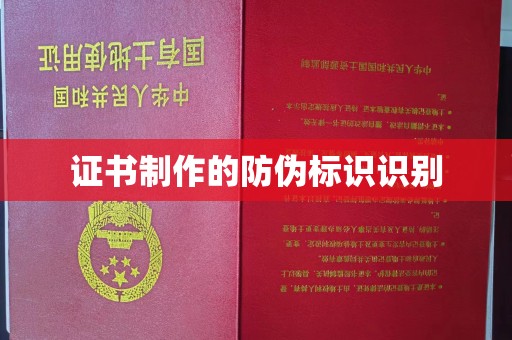 坡头证书制作的防伪标识识别