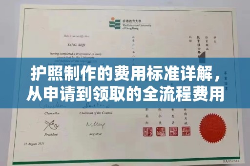 坡头护照制作的费用标准详解，从申请到领取的全流程费用指南