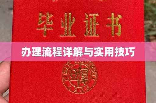 坡头办理流程详解与实用技巧