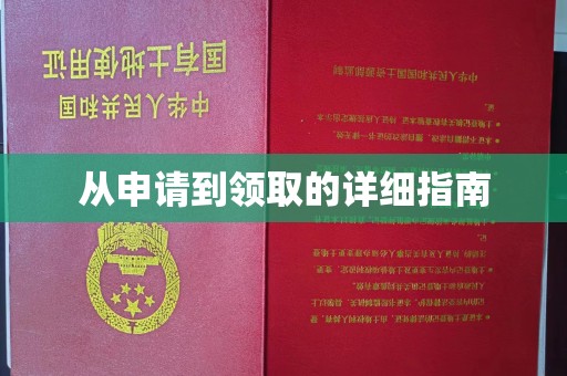 坡头从申请到领取的详细指南