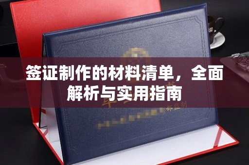 坡头签证制作的材料清单，全面解析与实用指南