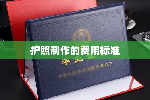 坡头护照制作的费用标准