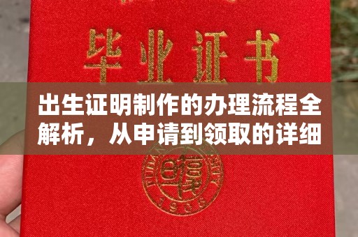 坡头出生证明制作的办理流程全解析，从申请到领取的详细指南