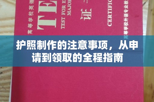 坡头护照制作的注意事项，从申请到领取的全程指南