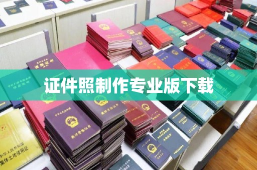 坡头证件照制作专业版下载